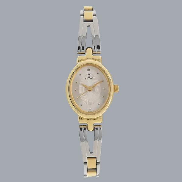 Titan Quartz Analog Silver Dial Two Toned Stainless Steel Strap Watch For Women